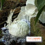 Noces Végétale au Jardin des Plantes : ilots