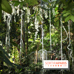 Noces Végétale au Jardin des Plantes : portique de dentelle