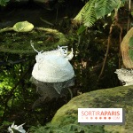 Noces Végétales au Jardin des Plantes