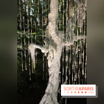 Noces Végétales au Jardin des Plantes : la mariée