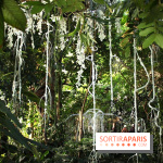 Noces Végétales au Jardin des Plantes