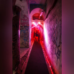 The Victorious Shelter by We Are The Oracle