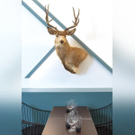 Jeanne b : le cerf de la table d'hôte