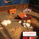 Les Enchanteurs de Noël au Château de Vincennes