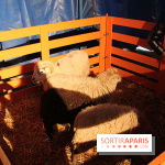 Les Enchanteurs de Noël au Château de Vincennes