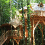 Les cabanes dans les arbles du Moulin