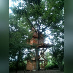 Les cabanes dans les arbles du Moulin