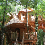 Les cabanes dans les arbres du Moulin