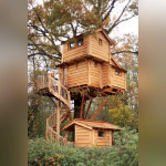 Les cabanes dans les arbres du Moulin