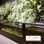 Aquarium de la Porte Dorée à Paris