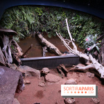 Aquarium de la Porte Dorée à Paris