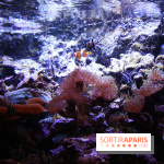 Aquarium de la Porte Dorée à Paris