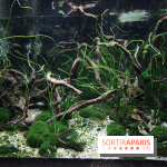 Aquarium de la Porte Dorée à Paris