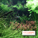 Aquarium de la Porte Dorée à Paris