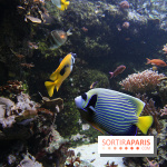 Aquarium de la Porte Dorée à Paris