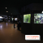 Aquarium de la Porte Dorée à Paris