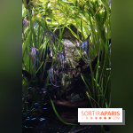 Aquarium de la Porte Dorée à Paris