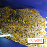 Exposition Nuit au Muséum Natinaol d'Histoire Naturelle