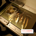 Exposition Nuit au Muséum Natinaol d'Histoire Naturelle