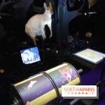 Exposition Nuit au Muséum Natinaol d'Histoire Naturelle