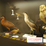 Exposition Nuit au Muséum Natinaol d'Histoire Naturelle