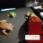 Exposition Nuit au Muséum Natinaol d'Histoire Naturelle