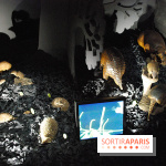 Exposition Nuit au Muséum Natinaol d'Histoire Naturelle