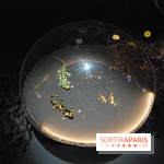 Exposition Nuit au Muséum Natinaol d'Histoire Naturelle