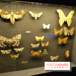 Exposition Nuit au Muséum Natinaol d'Histoire Naturelle