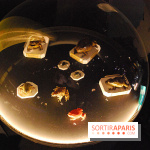 Exposition Nuit au Muséum Natinaol d'Histoire Naturelle