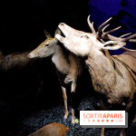 Exposition Nuit au Muséum Natinaol d'Histoire Naturelle