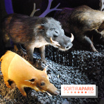 Exposition Nuit au Muséum Natinaol d'Histoire Naturelle