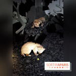 Exposition Nuit au Muséum Natinaol d'Histoire Naturelle