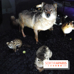 Exposition Nuit au Muséum Natinaol d'Histoire Naturelle