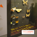 Exposition Nuit au Muséum Natinaol d'Histoire Naturelle