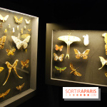 Exposition Nuit au Muséum Natinaol d'Histoire Naturelle