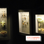 Exposition Nuit au Muséum Natinaol d'Histoire Naturelle