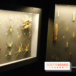 Exposition Nuit au Muséum Natinaol d'Histoire Naturelle