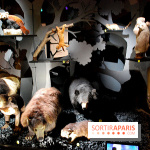 Exposition Nuit au Muséum Natinaol d'Histoire Naturelle