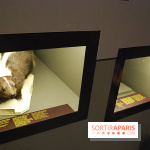 Exposition Nuit au Muséum Natinaol d'Histoire Naturelle