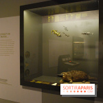 Exposition Nuit au Muséum Natinaol d'Histoire Naturelle