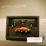 Exposition Nuit au Muséum Natinaol d'Histoire Naturelle