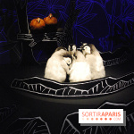 Exposition Nuit au Muséum Natinaol d'Histoire Naturelle