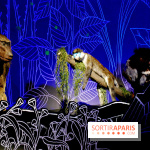 Exposition Nuit au Muséum Natinaol d'Histoire Naturelle