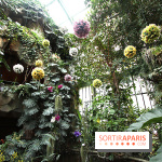 Mille & une orchidées 2014, l'exposition au Jardin des plantes