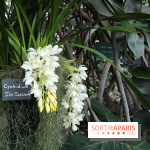 Mille & une orchidées 2014, l'exposition au Jardin des plantes