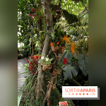 Mille & une orchidées 2014, l'exposition au Jardin des plantes
