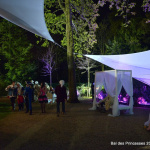 Bal des Princesses 2013