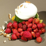 Dessance bar gastronomique