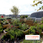 Molitor : terrasse rooftop, jardins